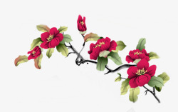 红色花朵花枝海棠素材