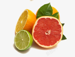 柠檬橘子素材