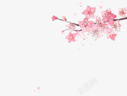手绘粉色花朵花枝素材