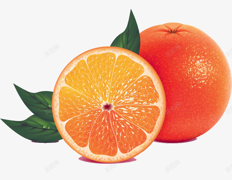 新鲜橙子png免抠素材_新图网 https://ixintu.com nb 切开的橙子 新鲜橙子 柠檬橙子 橙 橙子 橙子切面 橙子水果 橙子特写 水果 水果橙子 甘橙 美味橙子 赣南脐橙 高清橙子
