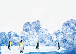 北极企鹅冰凉海报素材