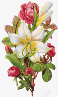 手绘花素描唯美花束花枝图标图标
