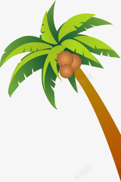 夏日海报植物插画椰子树素材