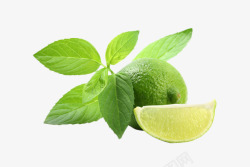 绿色酸柠檬绿叶素材