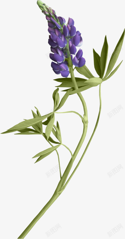 紫色花瓣花枝png免抠素材_新图网 https://ixintu.com 紫色 花枝 花瓣