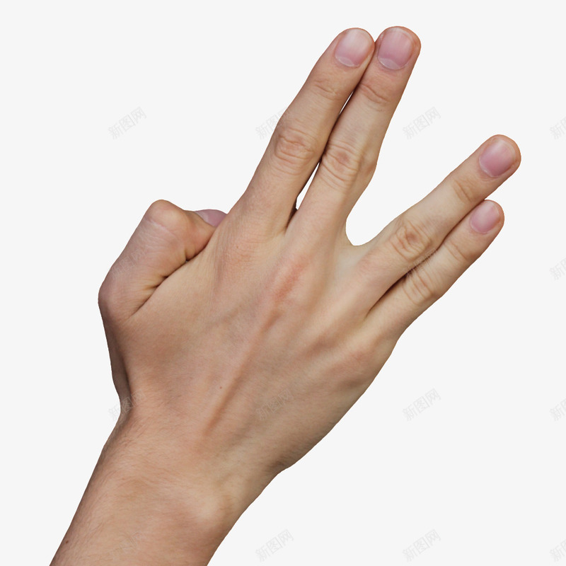 四个手指png免抠素材_新图网 https://ixintu.com 姿势 手指 手背 手臂