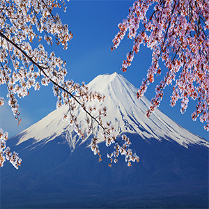 富士山照片png免抠素材_新图网 https://ixintu.com 富士山 美丽的富士山 装饰 风景