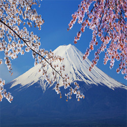 富士山照片素材