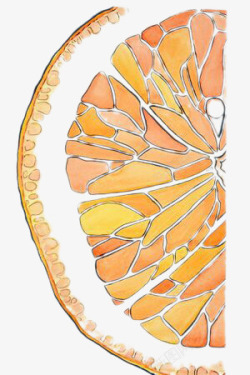 柠檬片剖面图素材