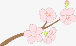 粉色春季中国风花枝素材