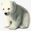 polar婴儿极地HappyHolidays高清图片