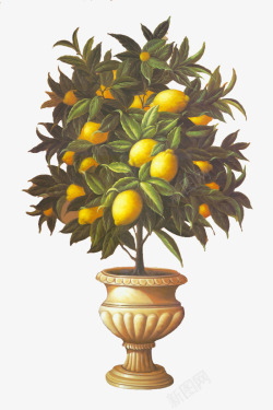 金桔柠檬盆栽油画素材