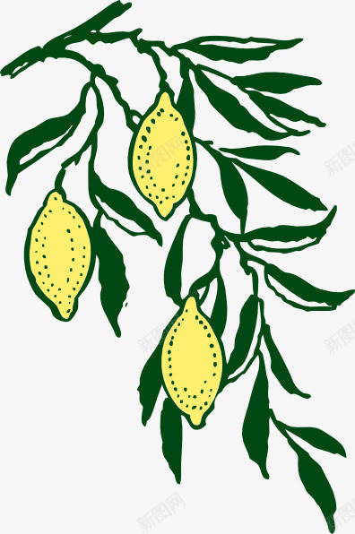 柠檬树png免抠素材_新图网 https://ixintu.com 新鲜 柠檬 水果 维生素