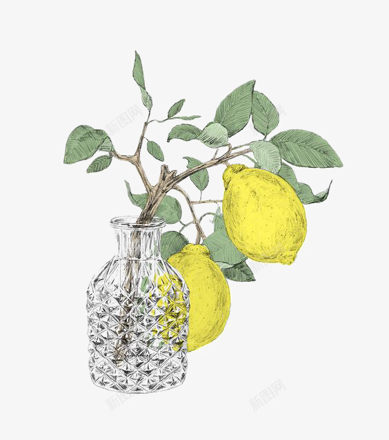 手绘柠檬png免抠素材_新图网 https://ixintu.com 卡通柠檬 水果 瓶子 花瓶
