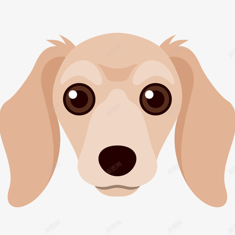 一只可爱的小狗头像png免抠素材_新图网 https://ixintu.com 动物 卡通 可爱的 大眼睛 头像 小狗 简图 长耳朵