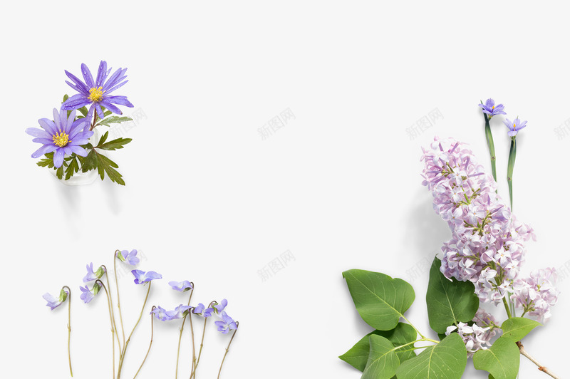 夏日植物紫色花朵叶子png免抠素材_新图网 https://ixintu.com 叶子 夏日 植物 紫色 花朵