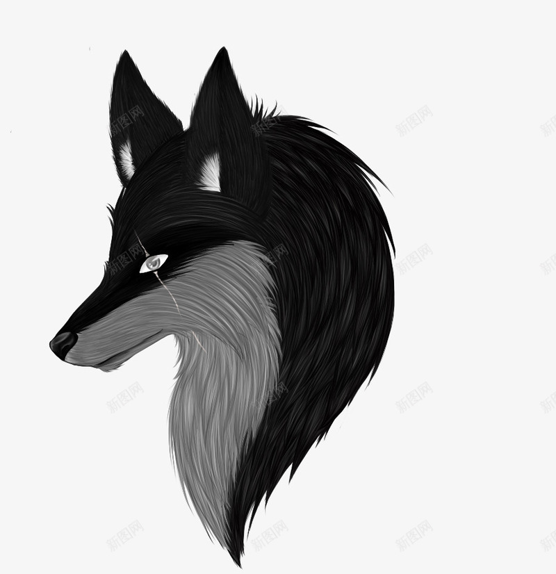 黑色狼的头像png免抠素材_新图网 https://ixintu.com 图案设计 头像 手绘 狼