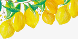 金黄色的柠檬金黄色的柠檬矢量图高清图片