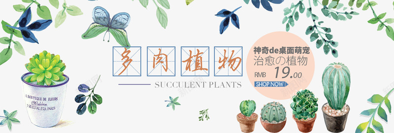 多肉植物png免抠素材_新图网 https://ixintu.com 优惠 促销活动 卡通 多肉 手绘 植物 绿色