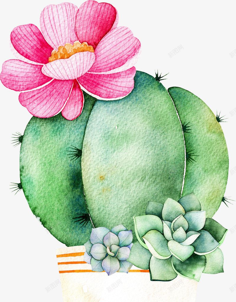 多肉和花朵png免抠素材_新图网 https://ixintu.com 卡通 多肉 手绘 盆栽 红色 绿植 绿色 花朵