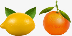 柠檬和橘子素材
