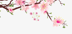 粉色中国风花枝装饰图案素材