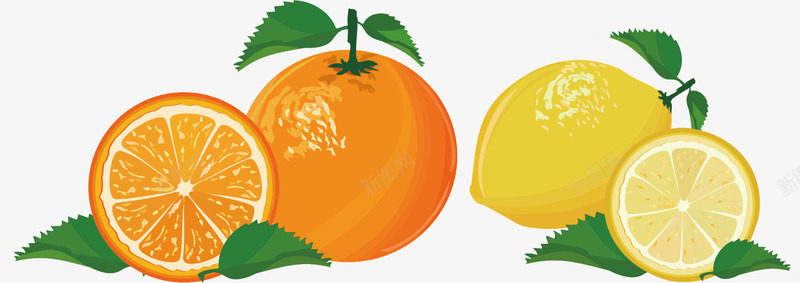 橙子柠檬矢量图ai免抠素材_新图网 https://ixintu.com 柠檬 橘子 矢量橙子 矢量图
