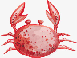 卡通可爱小动物装饰动物头像螃蟹素材
