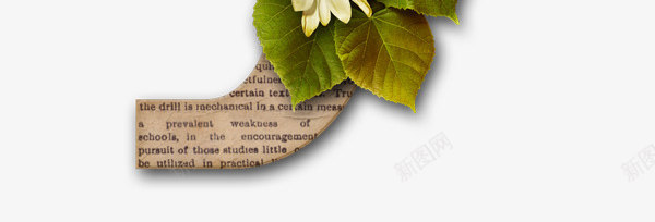 花朵背景墙png免抠素材_新图网 https://ixintu.com 小清新 果实 淡雅风 照片背景墙 白色花朵 花朵