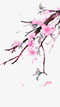 粉色中国风花枝装饰图案素材