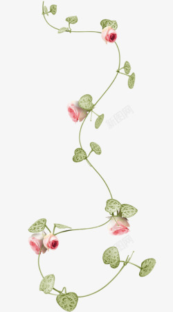 粉色玫瑰花枝装饰素材