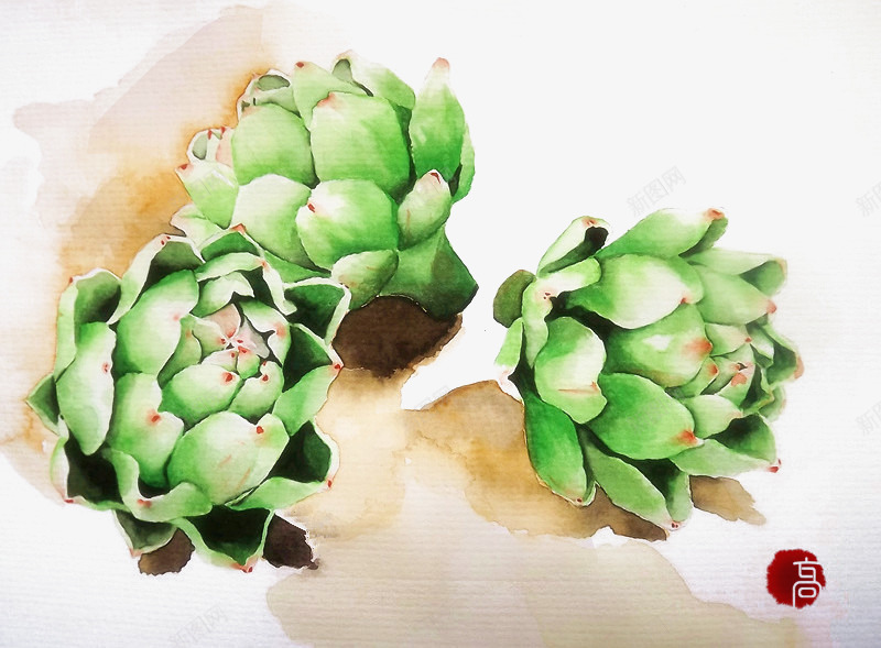 植物png免抠素材_新图网 https://ixintu.com 多肉 手绘 水彩画