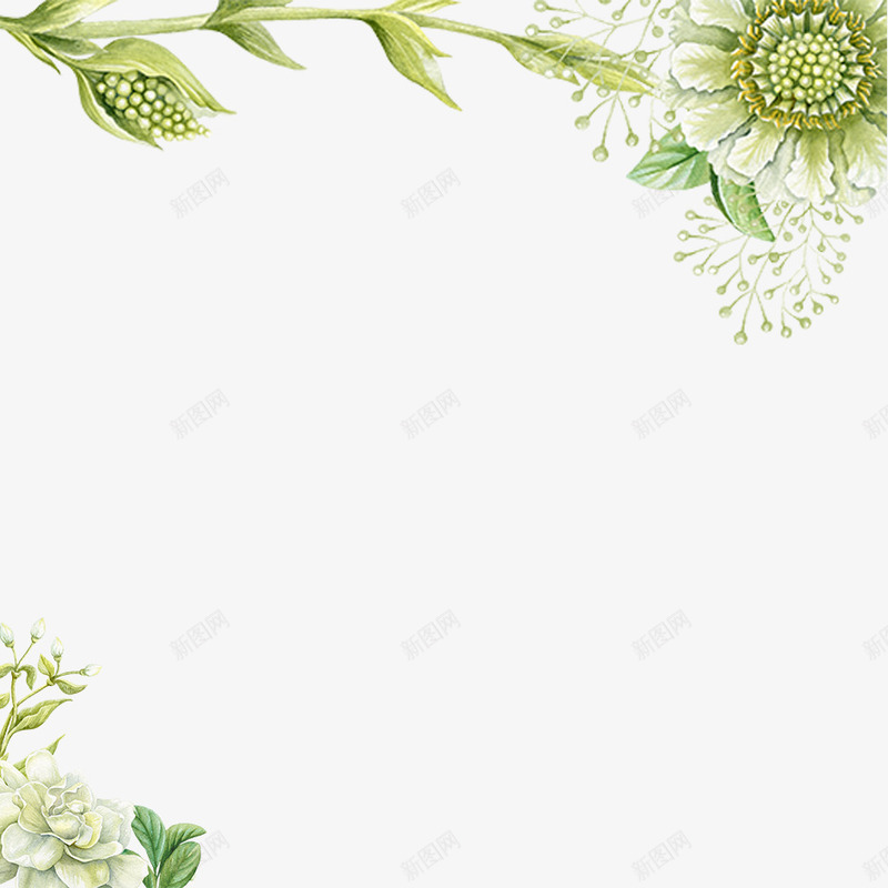 唯美绿色植物psd免抠素材_新图网 https://ixintu.com 创意 夏日 植物 清新 绿色 花卉 边框