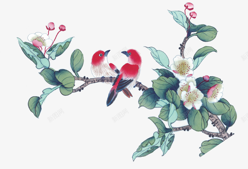 在花枝上的鸟png免抠素材_新图网 https://ixintu.com 中国风鸟 水墨画 白色的花朵 花枝