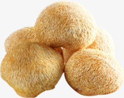 猴菇饼猴菇元素高清图片