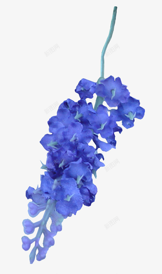 蓝色花枝png免抠素材_新图网 https://ixintu.com 花朵 花枝 花瓣