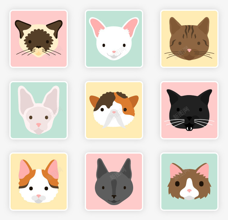 可爱方形猫咪头像图标png_新图网 https://ixintu.com 动物 图标 头像 宠物 小猫 方形