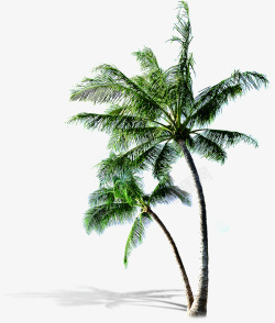 植物夏日椰子树卡通沙滩效果素材