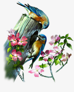 喜爱鸟花枝上的小鸟高清图片