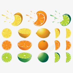 柠檬橘子截断面矢量图素材