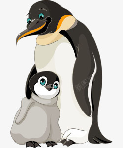 企鹅妈妈企鹅母子高清图片