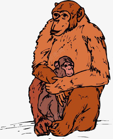 猴妈妈和猴宝宝png免抠素材_新图网 https://ixintu.com 动物 卡通 大猩猩 手绘猴子 猴子