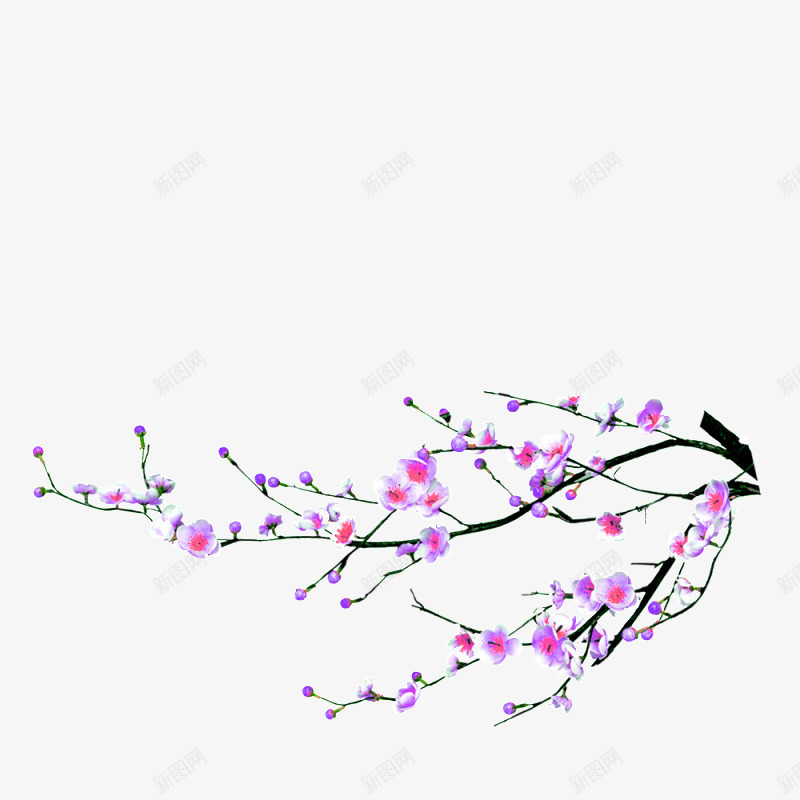 紫色清新花枝装饰图案png免抠素材_新图网 https://ixintu.com 免抠PNG 清新 紫色 花枝 装饰图案