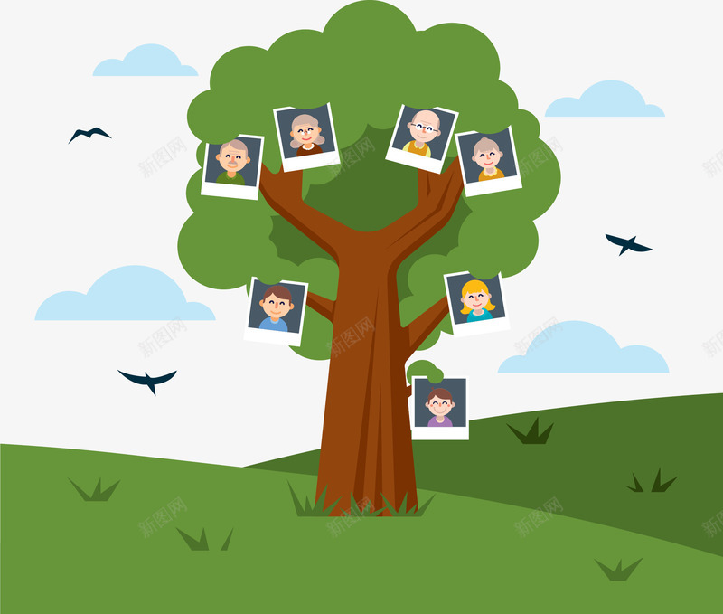 照片树形结构png免抠素材_新图网 https://ixintu.com 家庭树 树形结构 照片墙 矢量素材 组织结构