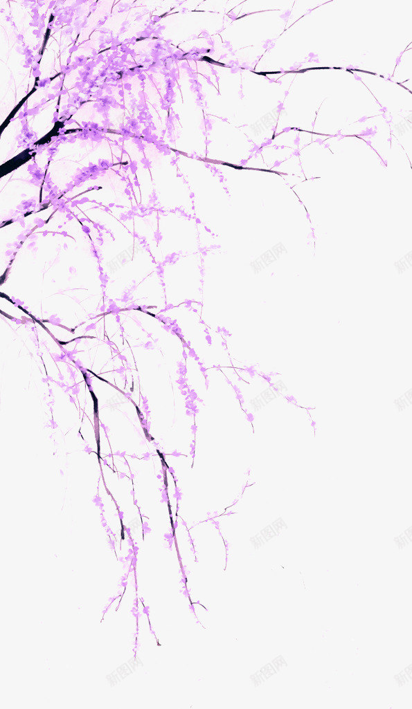 紫色清新花枝装饰图案png免抠素材_新图网 https://ixintu.com 免扣PNG 树木 清新 紫色 花枝 装饰图案