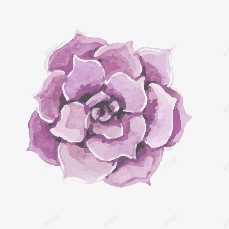 紫色的多肉花瓣png免抠素材_新图网 https://ixintu.com 可爱 多肉 紫色的 花瓣