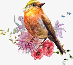 站在花枝上彩绘站在花枝上的鸟高清图片