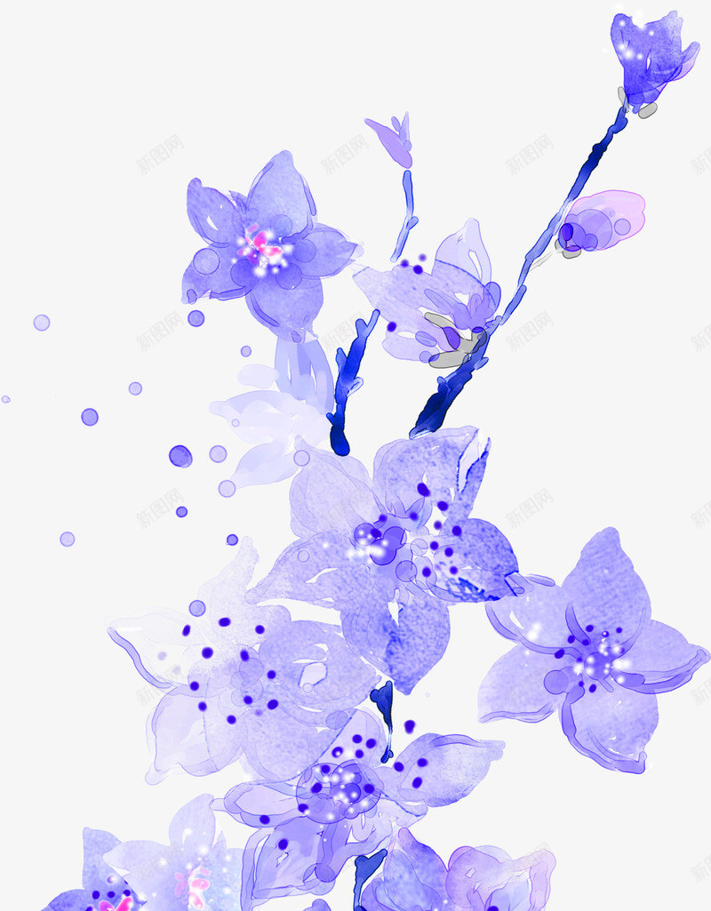 蓝紫色花png免抠素材_新图网 https://ixintu.com 植物 水墨画 眼花 花朵 花枝