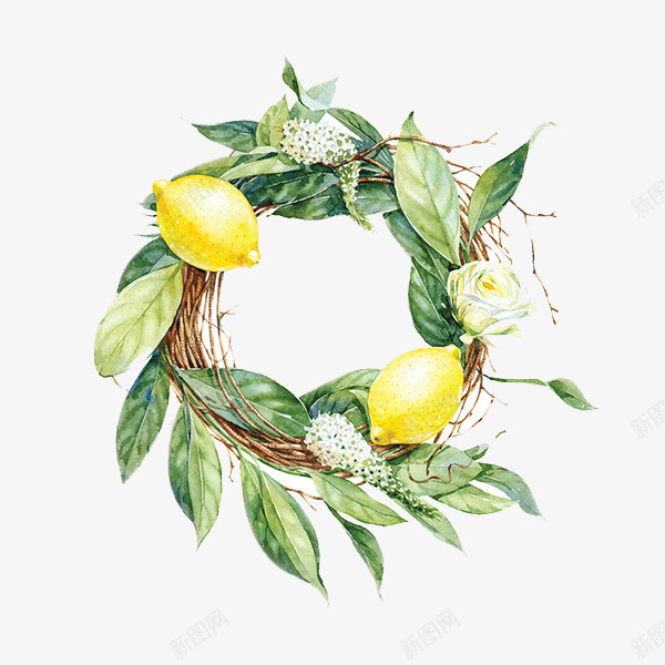 树环png免抠素材_新图网 https://ixintu.com 手绘 柠檬 树叶 植物