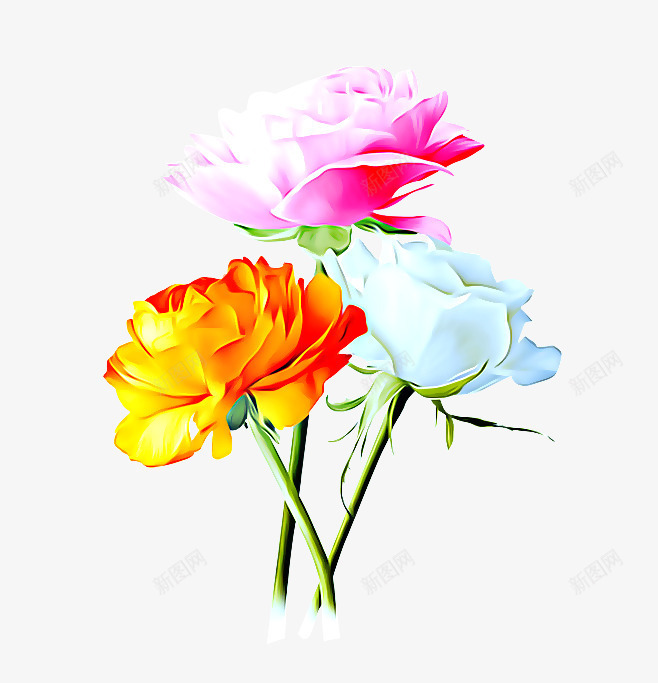 玫瑰花png免抠素材_新图网 https://ixintu.com 吊篮 小花 月季 油画 玫瑰花 白玫瑰 粉玫瑰 花枝 蝴蝶 黄玫瑰